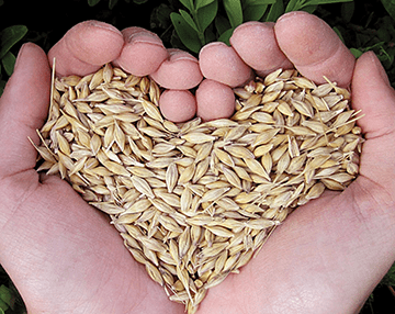 Globgal Health hands holding seeds